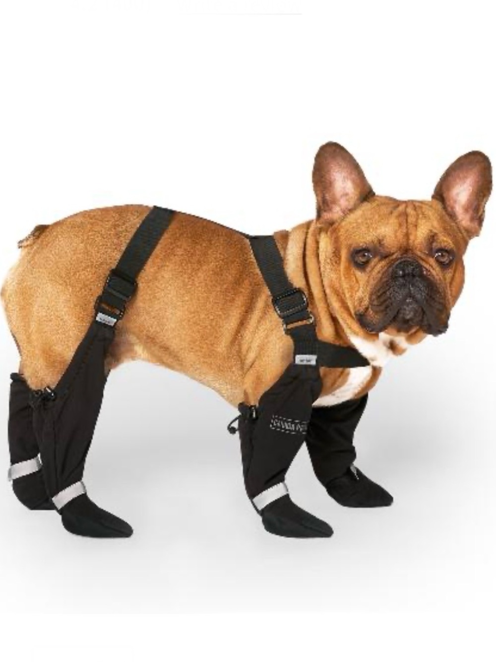 Canada Pooch Suspender Boots